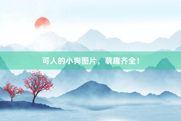 可人的小狗图片，萌趣齐全！