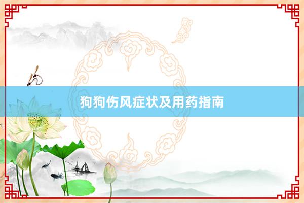 狗狗伤风症状及用药指南
