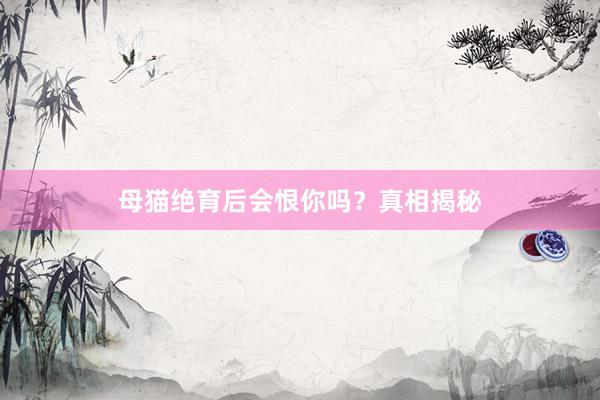母猫绝育后会恨你吗？真相揭秘